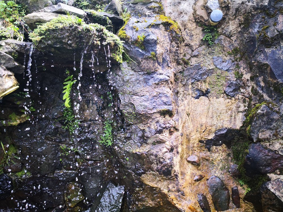 La Casa del Arbol主图