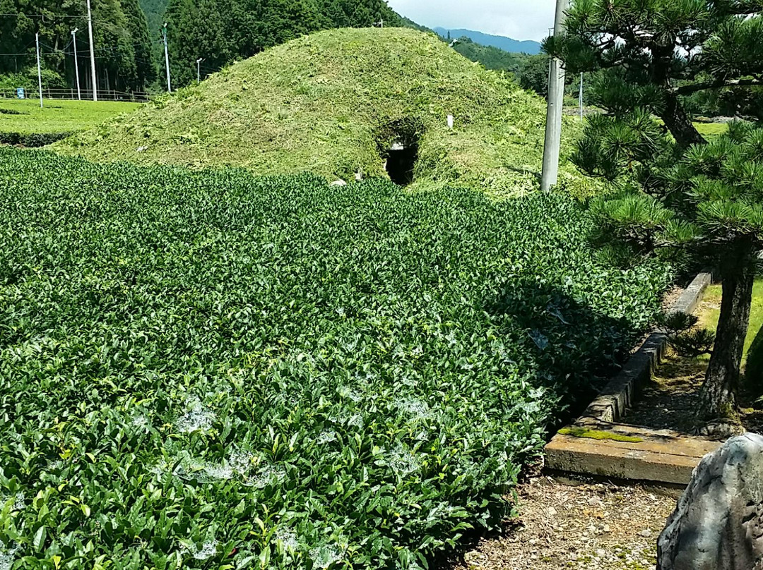 池田町旅游景点-Ganjoji Nishitsukanokoshi Tomb