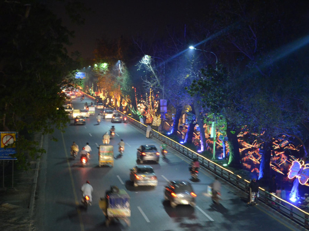 The Lahore Canal