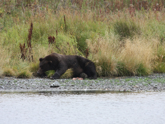Karluk旅游攻略图片
