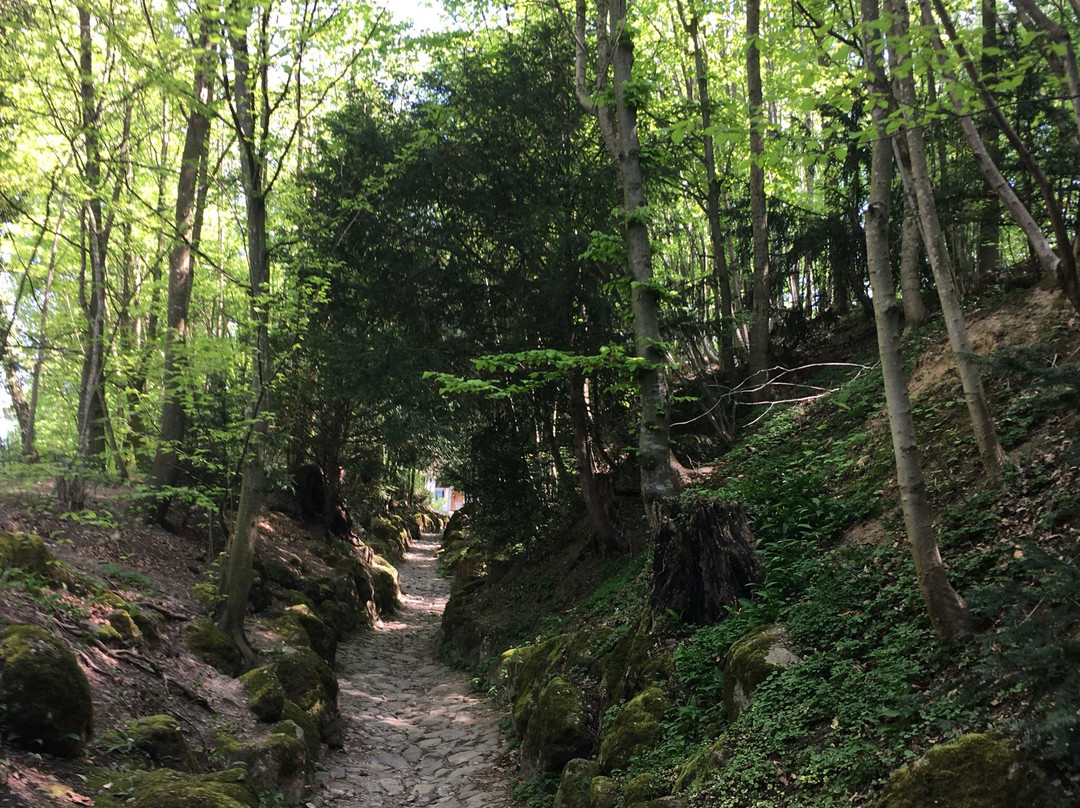 Immensee旅游攻略图片