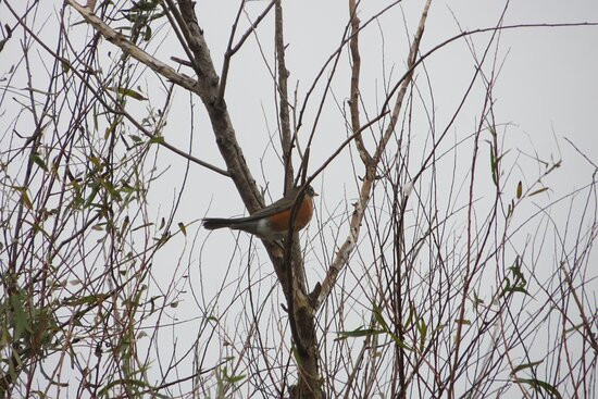 Joan & Scott Holt Paradise Pond-阿兰瑟斯港必去景点