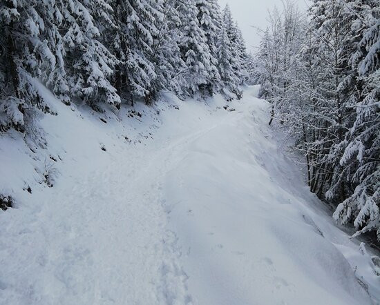Le Domaine Skiable Le Collet d'Allevard景点图片