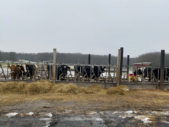 Cook Family Farm-纽瓦克必去景点
