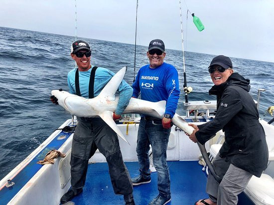 Blue Shark Charters-Eastern Passage必去景点