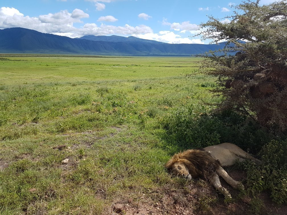 Uisso Adventures and Safari-莫西必去景点