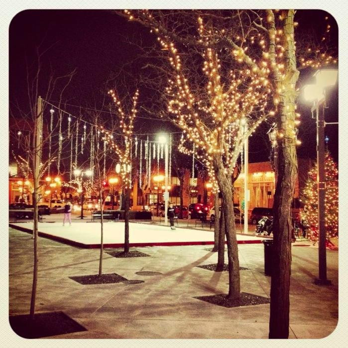 Downtown Chatham Centre景点图片