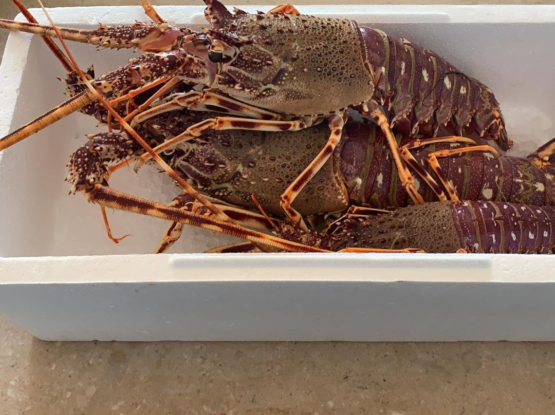 Pescheria del porto