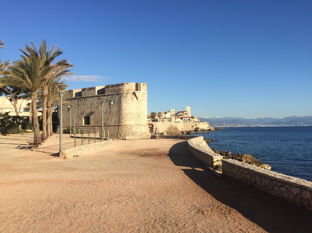 若安乐松旅游攻略图片