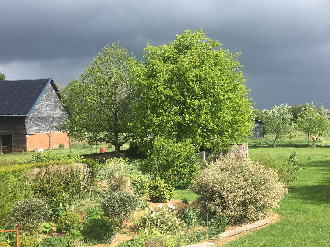 Sainte-Marie-des-Champs旅游攻略图片