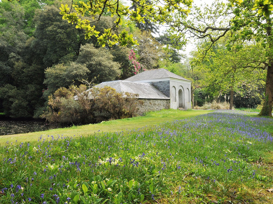 Antony Woodland Garden & Woodland Walk景点图片