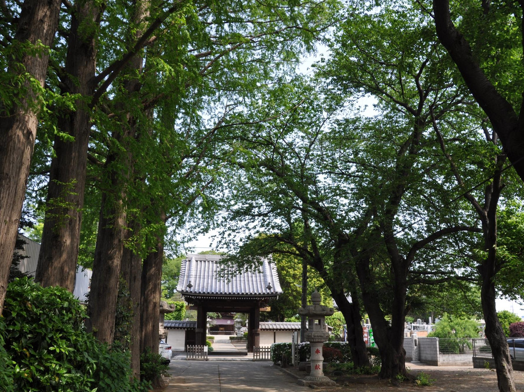 Hodaiji Temple景点图片