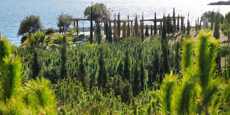 阿尔穆涅卡尔旅游景点-Parque del Mediterraneo