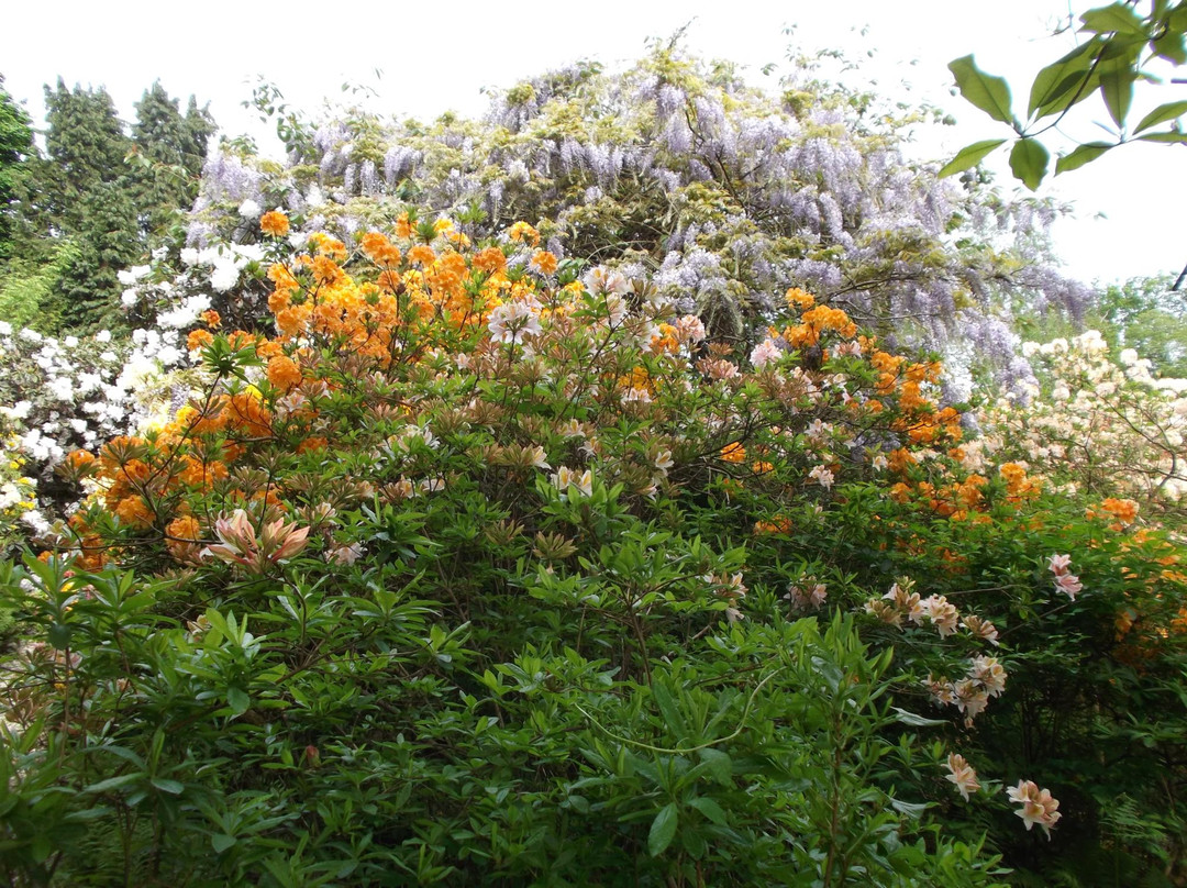 The American Garden景点图片