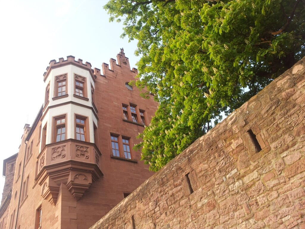 Bildungs- und Erholungswerk Burg Rieneck e. V.景点图片