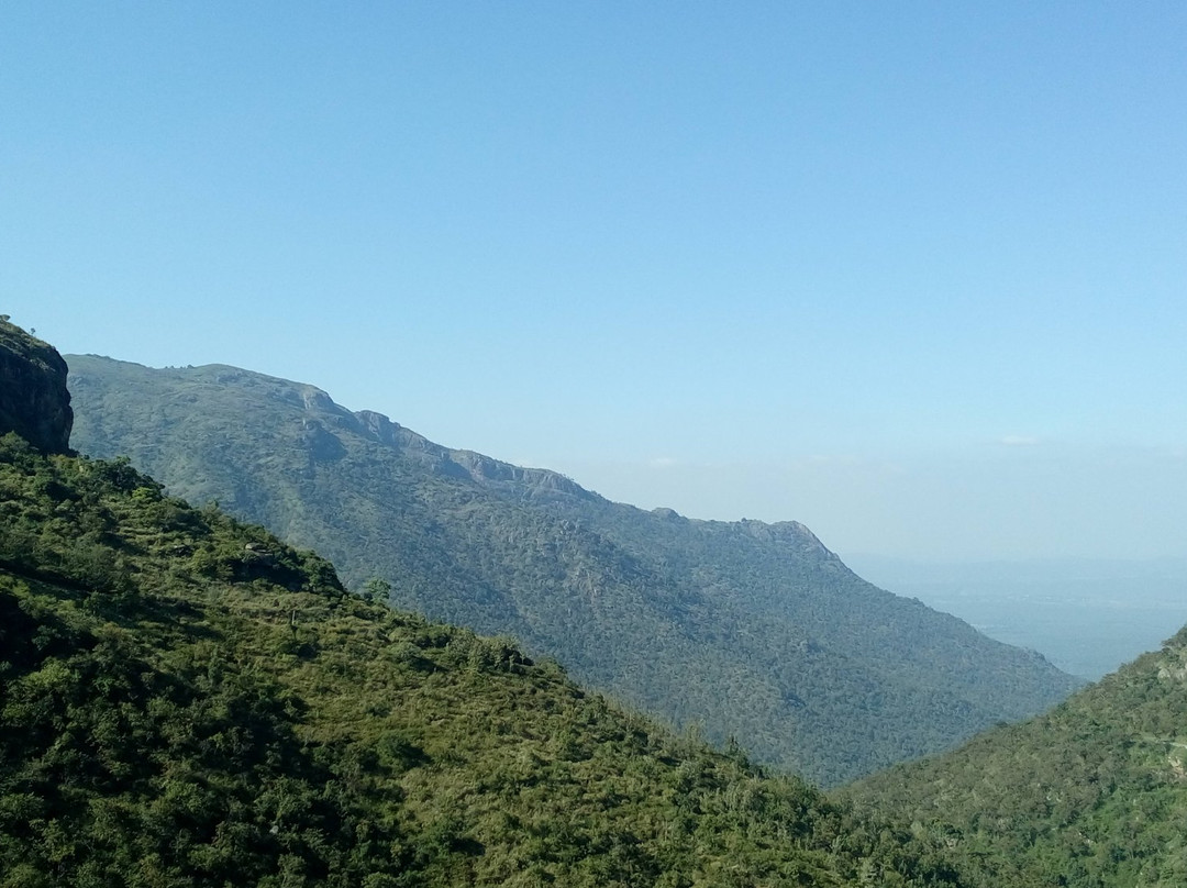 Bison Valley景点图片