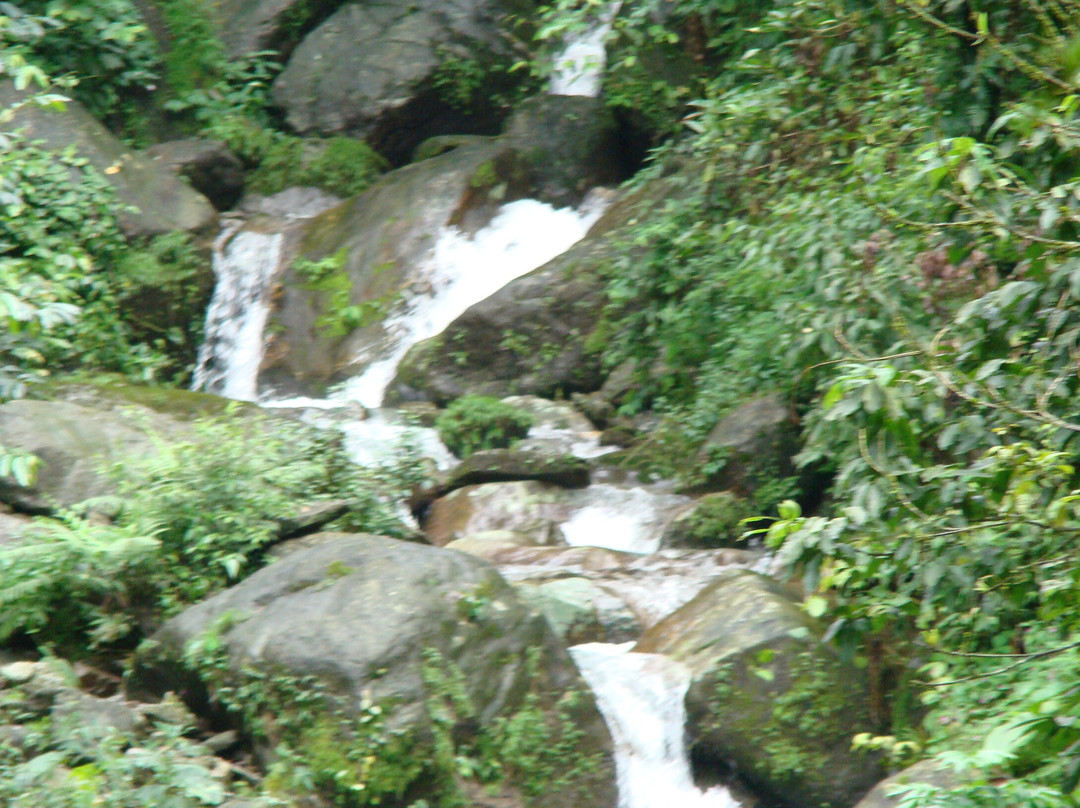 Kalimpong District旅游攻略图片