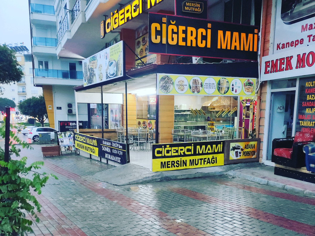 Ciğerci Mami