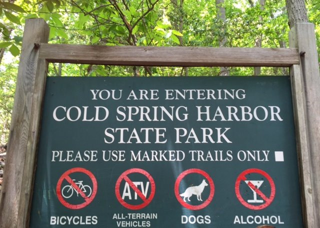 Cold Spring Harbor State Park景点图片