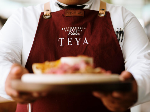 TEYA - Gastronomía Yucateca Viva