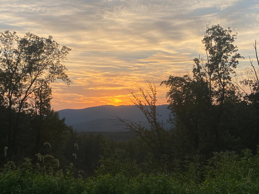 Eastwood Farm And Winery-夏洛茨维尔必去景点
