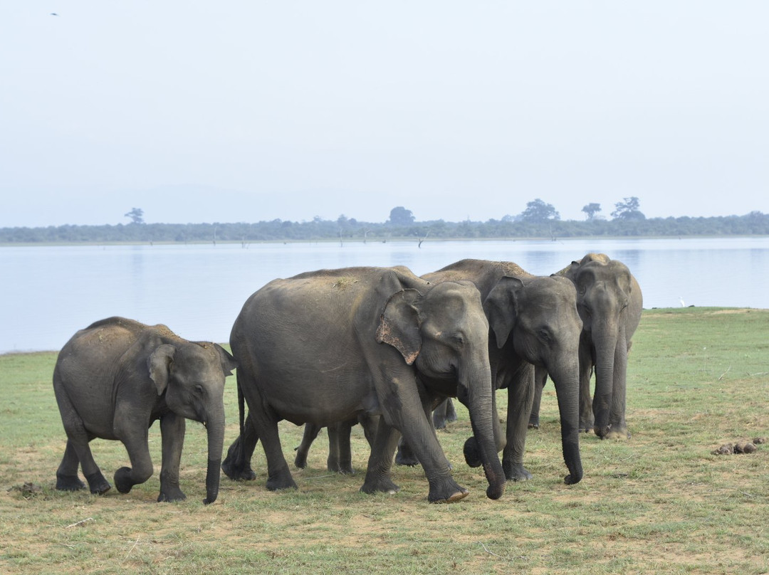 UP Travels & Tours - Excursion-唐卡拉必去景点