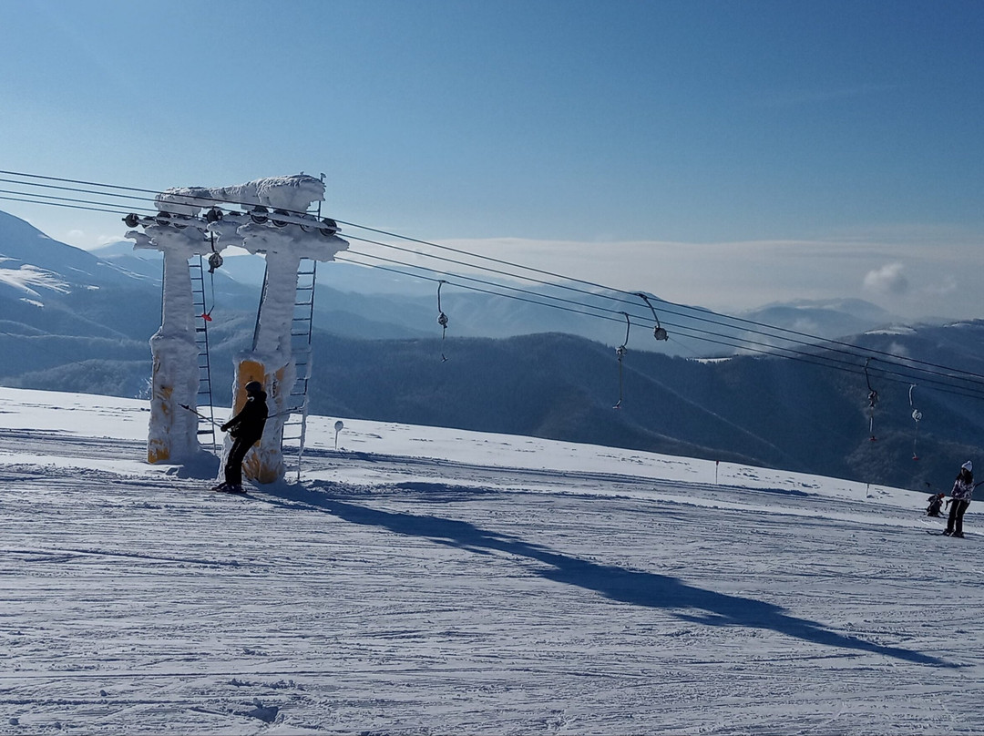 Weski Muntele Mic景点图片
