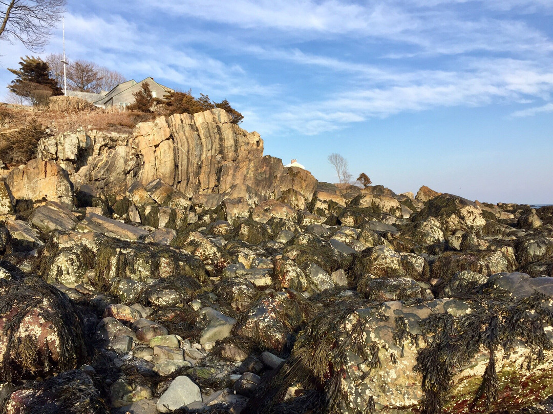 Cliff Walk景点图片