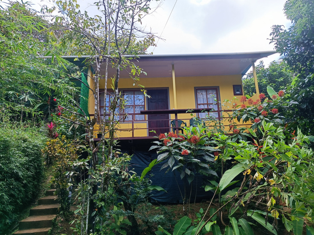 Cabañas Tico Gringo