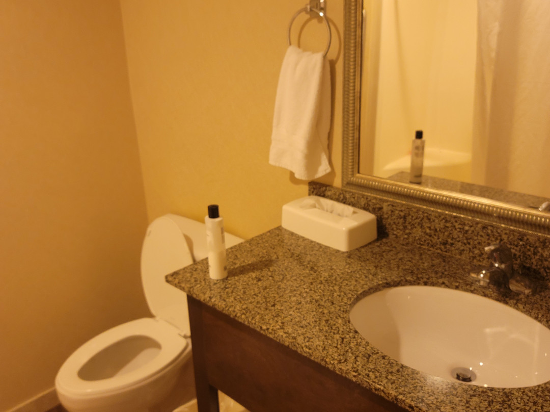 Best Western Plus Valdosta Hotel & Suites主图