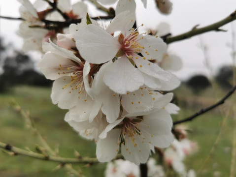 Parquelagos, Torrelodones, Galapagar, La Navata, Circular-Galapagar必去景点