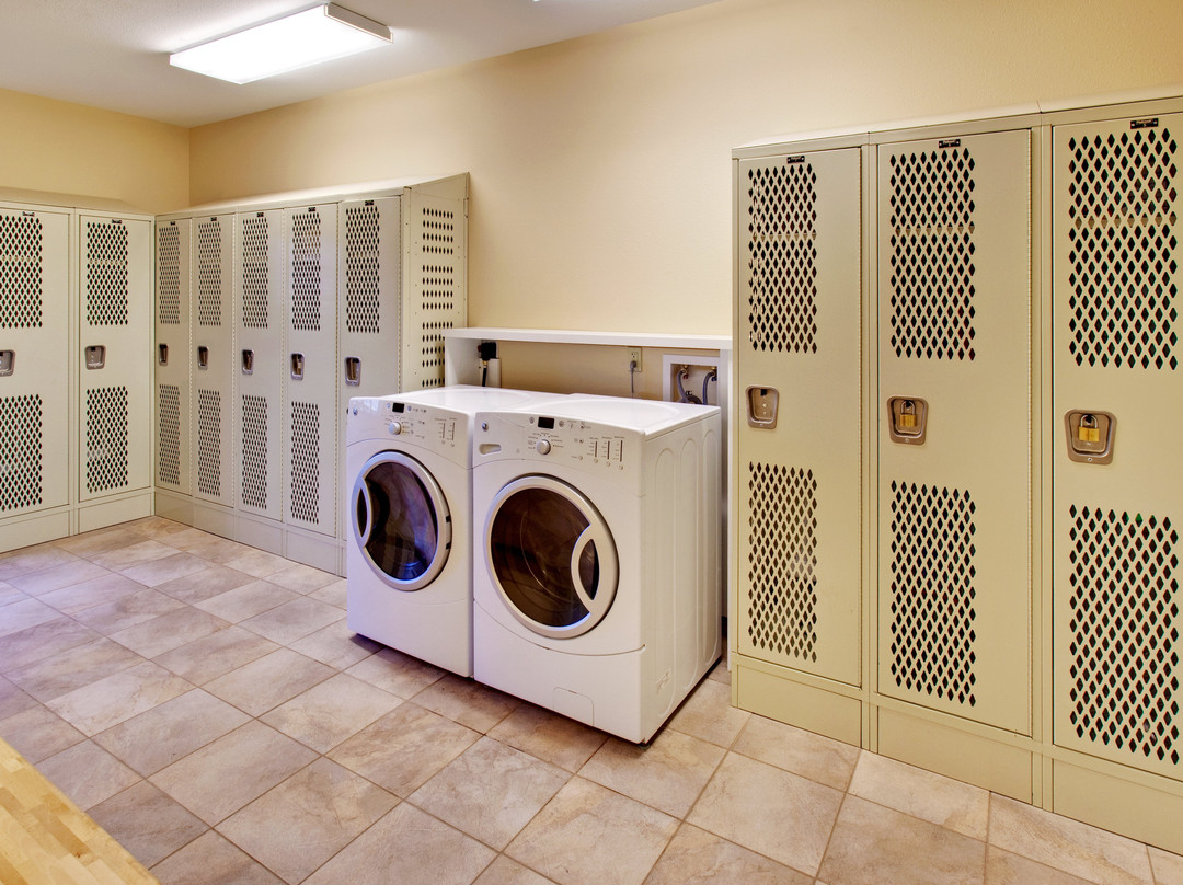 Candlewood Suites Williston by IHG主图