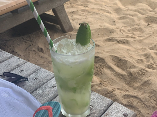 Pousada Vila Araticum Praia主图