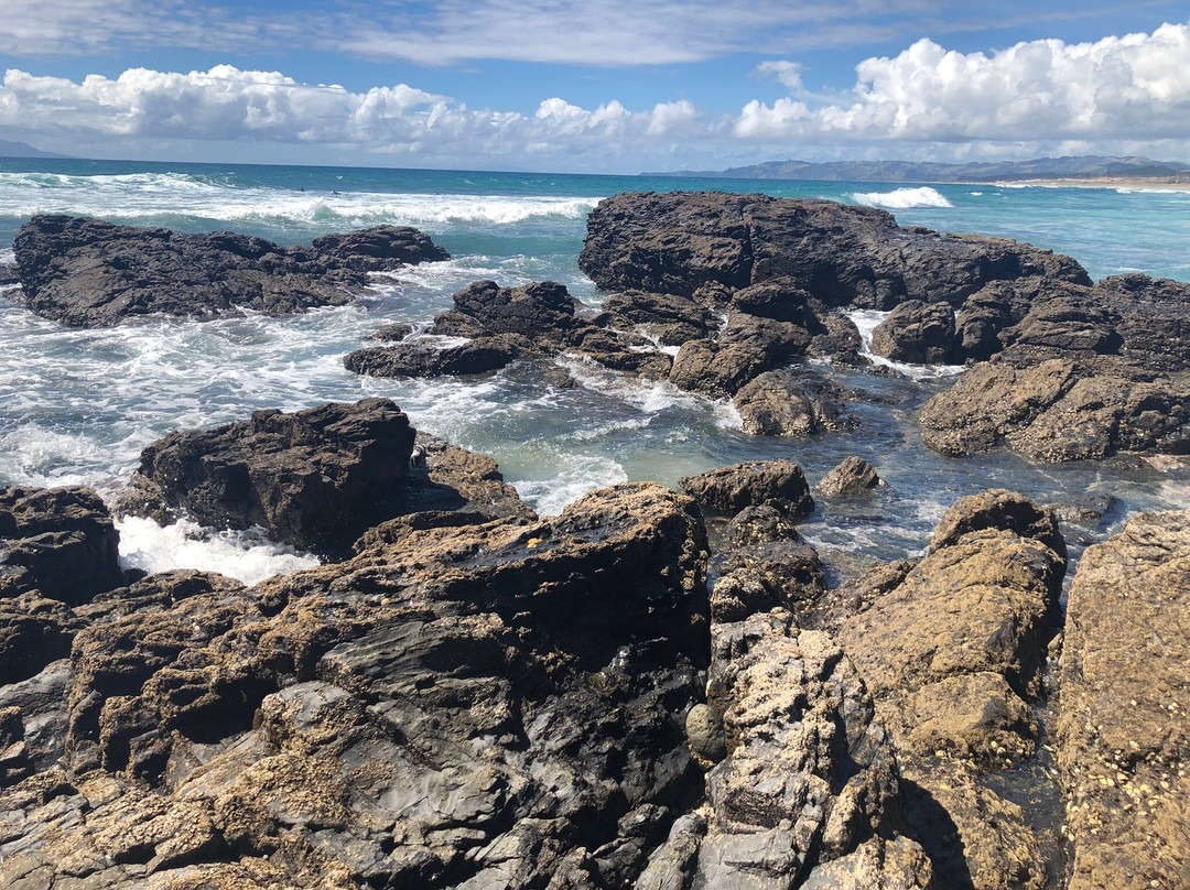 Te Arai Point-Te Arai必去景点