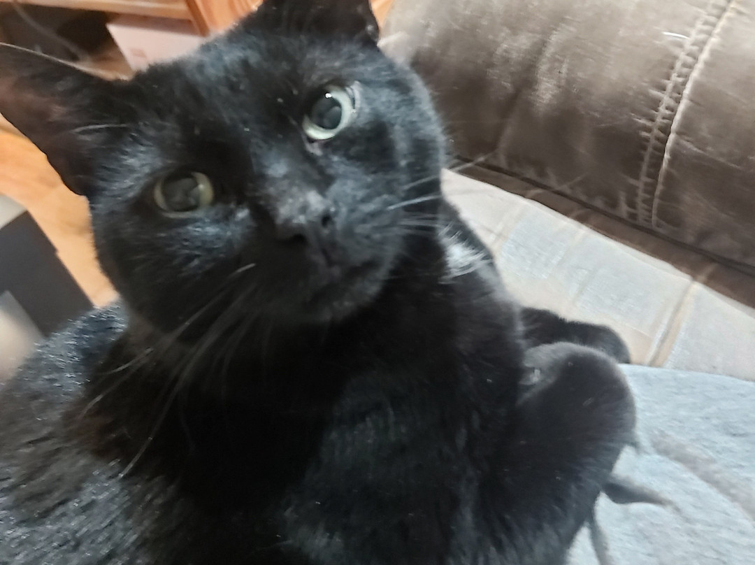 SureStay Hotel by Best Western Kemptville主图