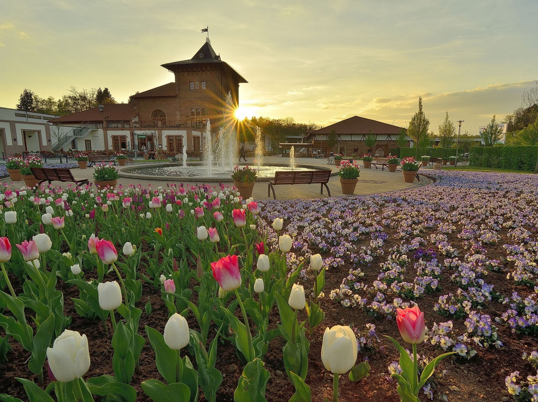 Holiday Inn Express Kaiserslautern by IHG主图