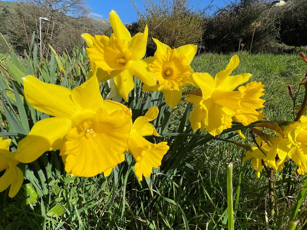 Chiesa Di San Michele-Esterzili必去景点