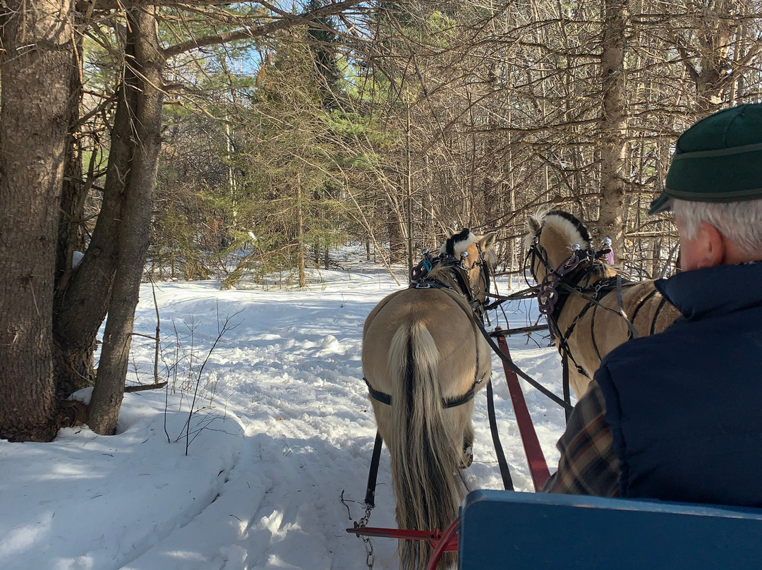 Sleighman-Ishpeming必去景点
