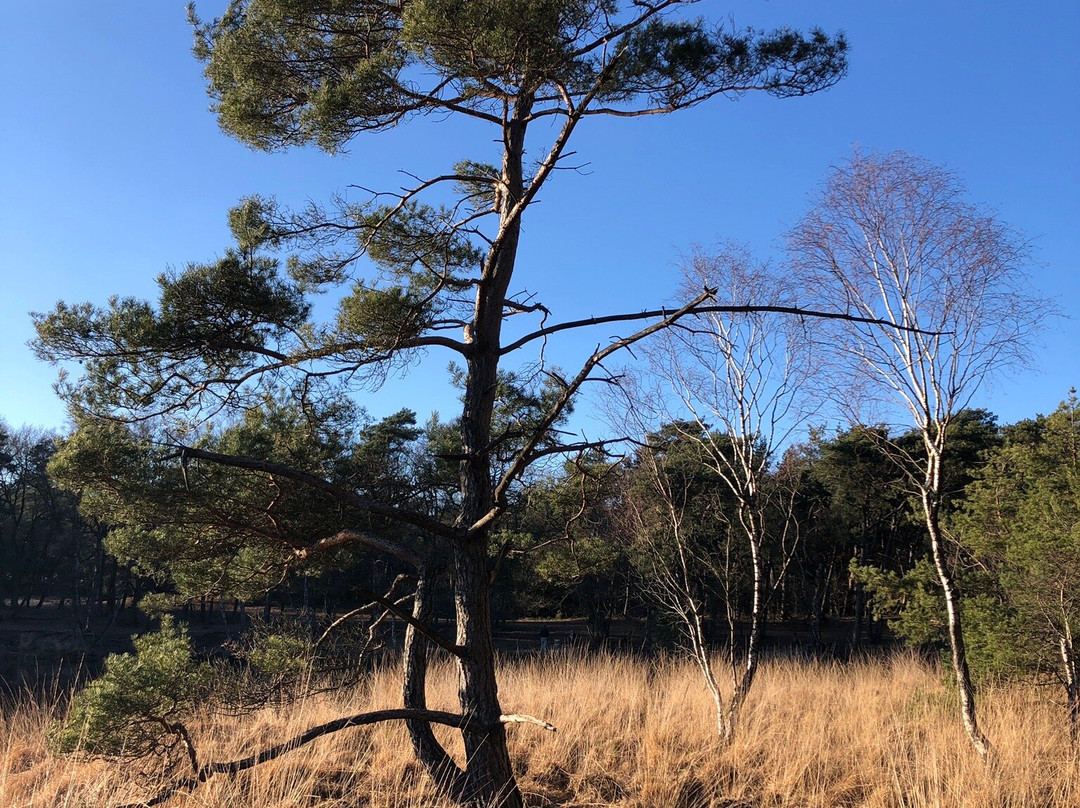 Hatertse En Overasseltse Vennen-Overasselt必去景点