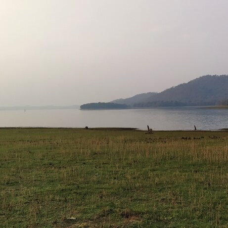 Bhadra Wildlife Sanctuary景点图片