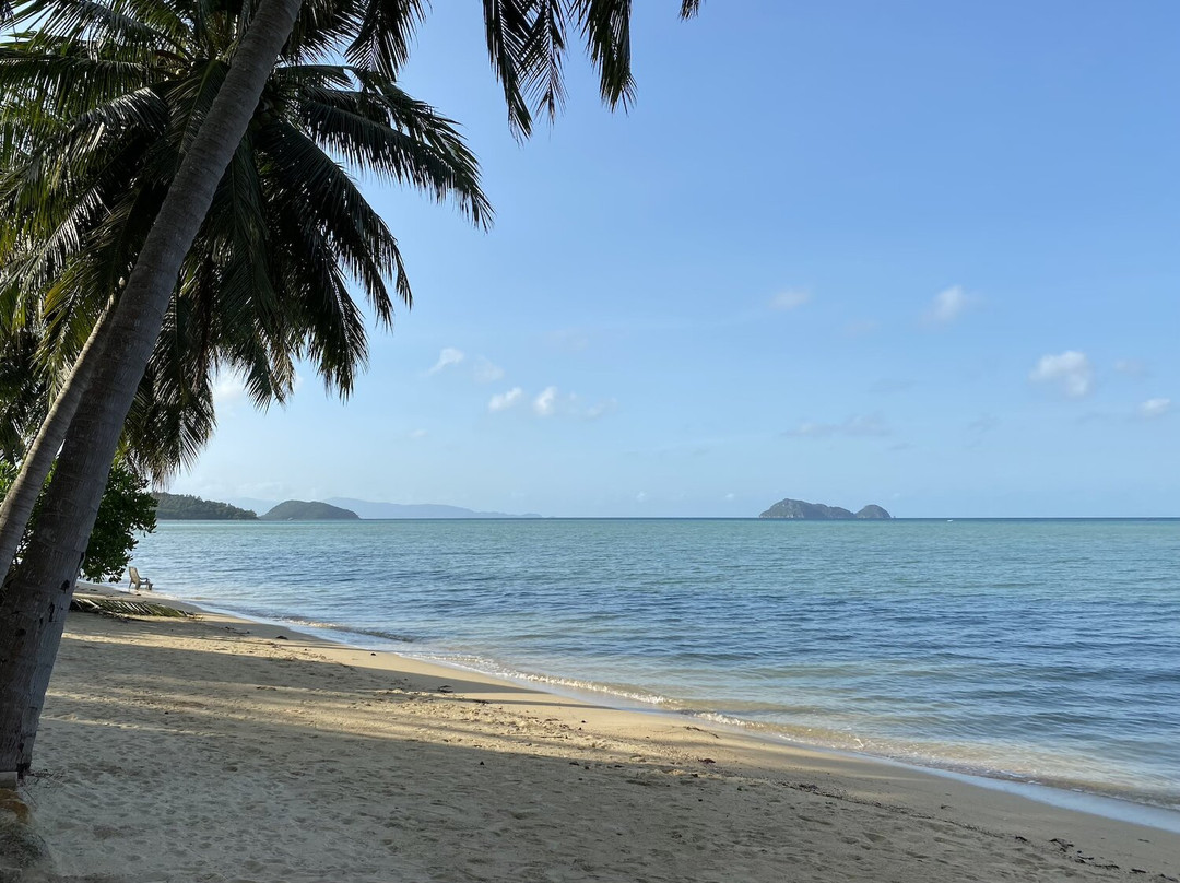 Castaway Beach Bungalows主图