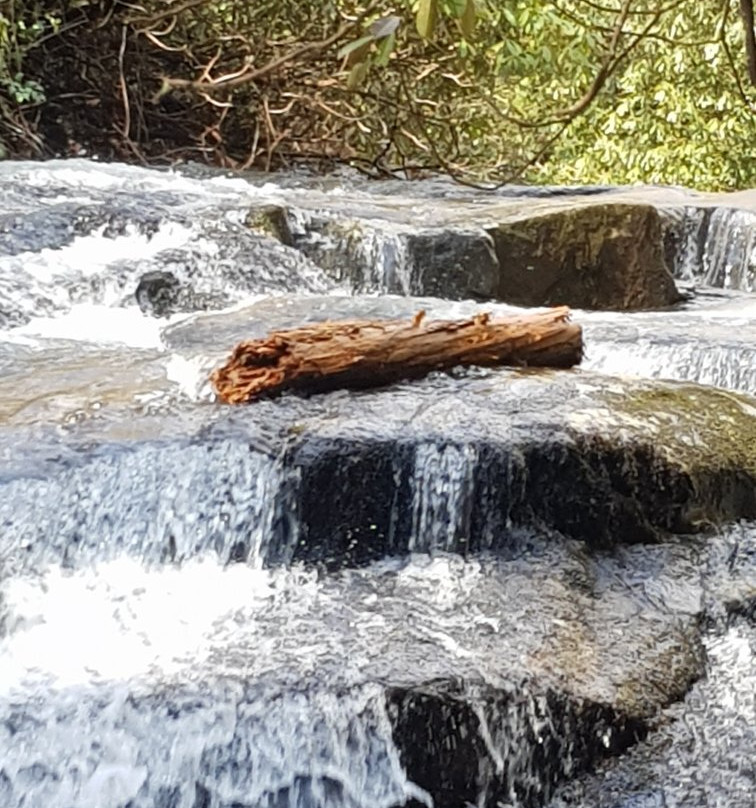 Hemlock Falls Trail-Clarkesville必去景点