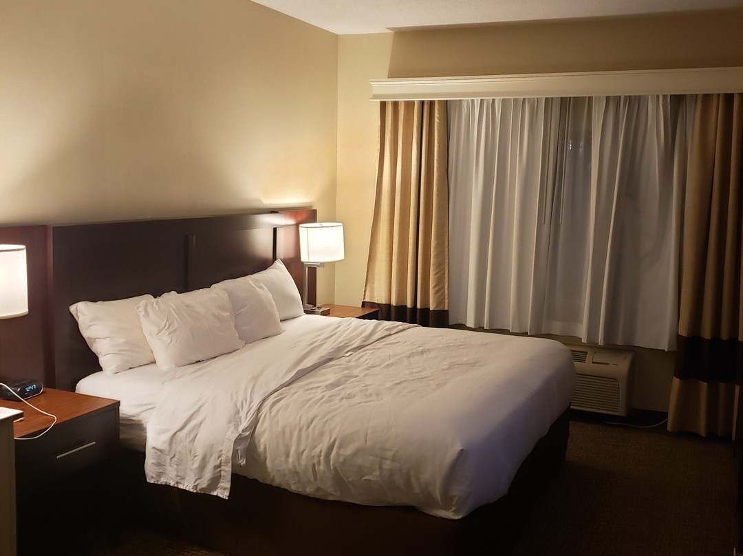 Comfort Suites Normal University Area主图