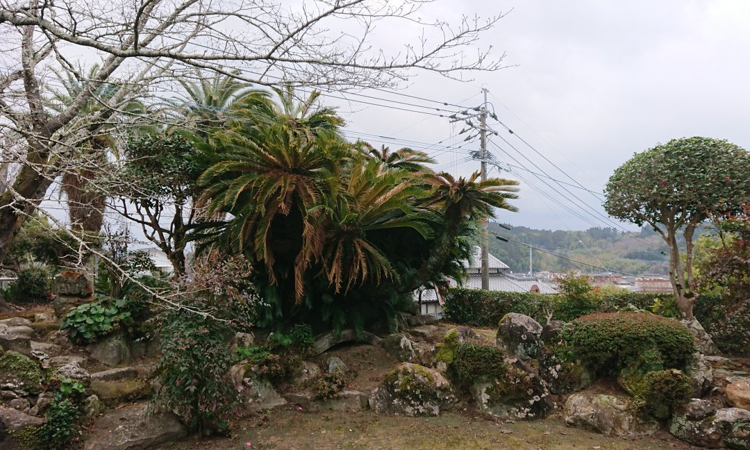 Old Ito Denzaemon House景点图片