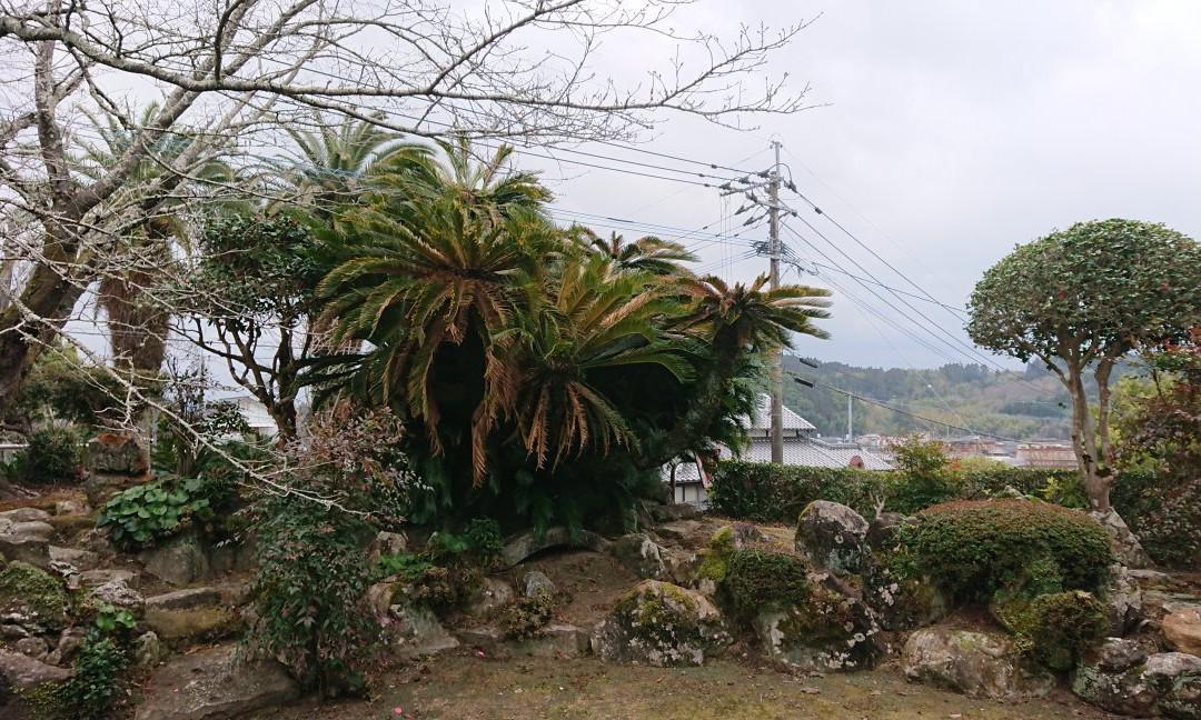 PAAK HOTEL Akanesasu (Old Ito Denzaemon House)-日南市必去景点