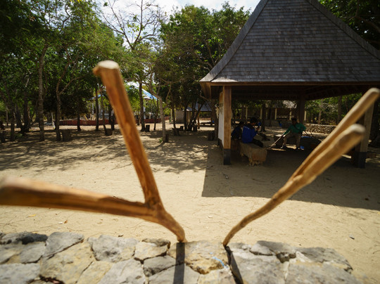 Komodo Wisata Tours & Travel-科莫多必去景点