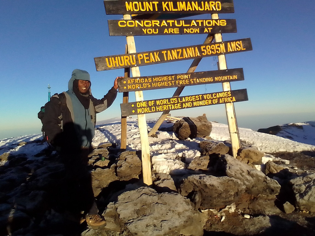 Climb Mount Kilimanjaro – #1 Kilimanjaro Tours for 2025 & 2026-莫西必去景点