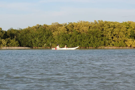 Maya tour Mid-梅里达必去景点