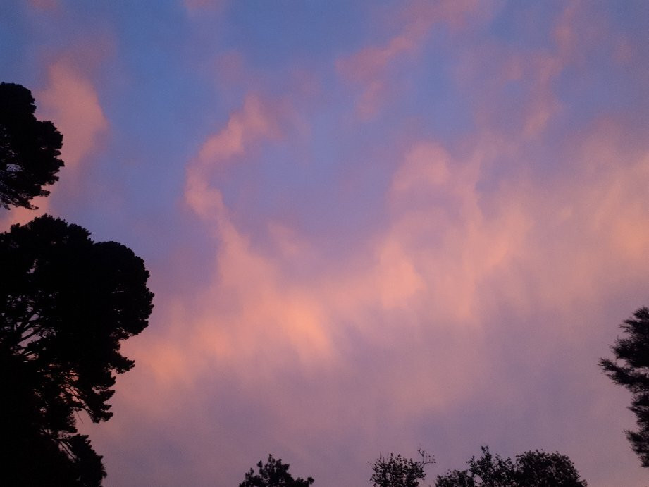 The Boatshed Kayaks-剑桥必去景点