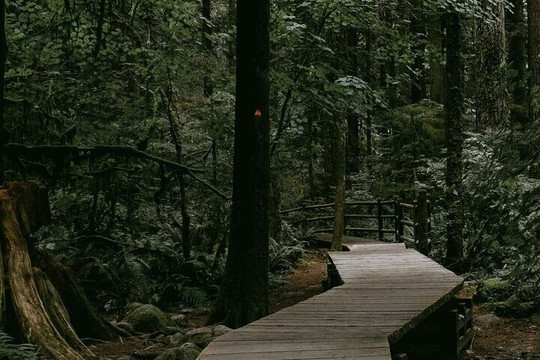 Tripvia Tours-雷夫尔斯托克必去景点